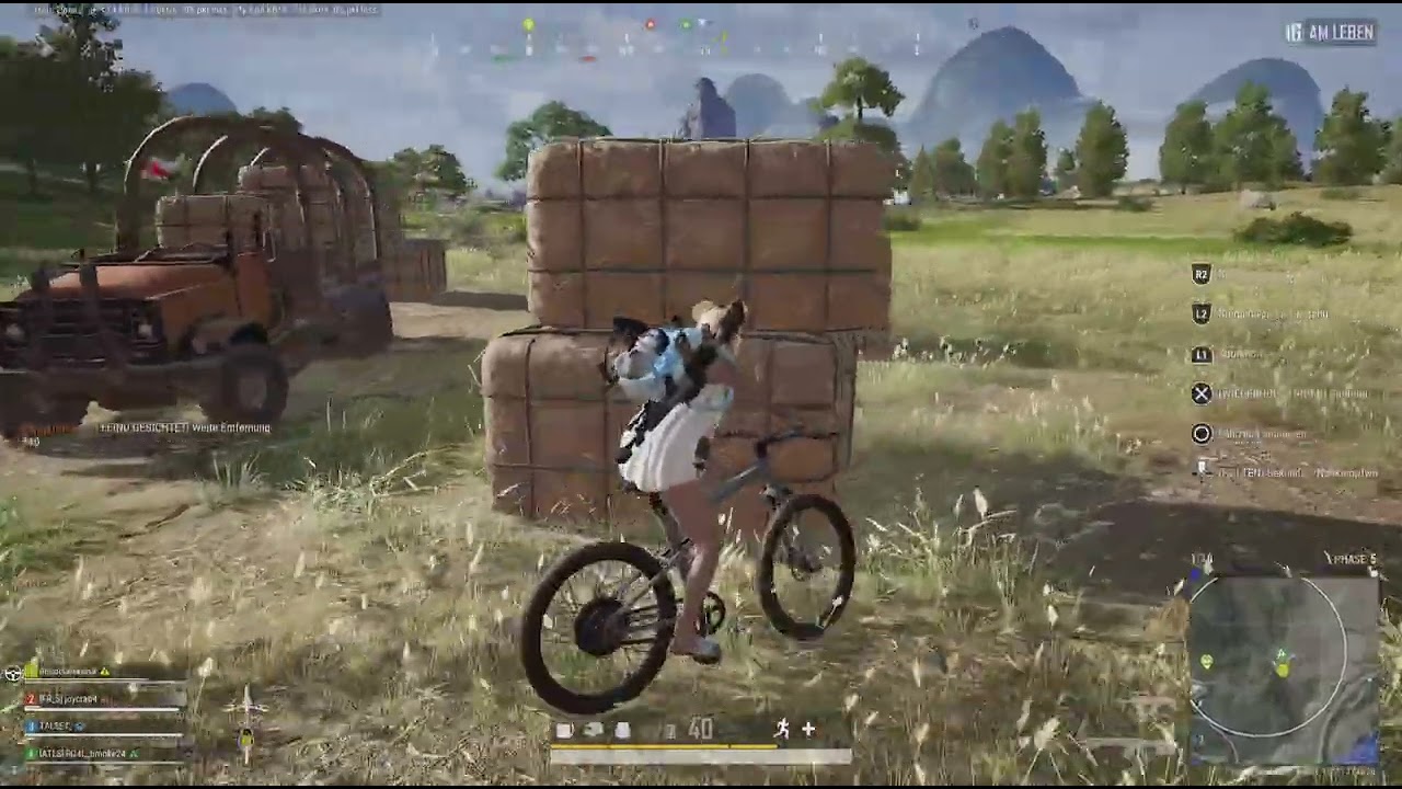 PUBG: crossplay