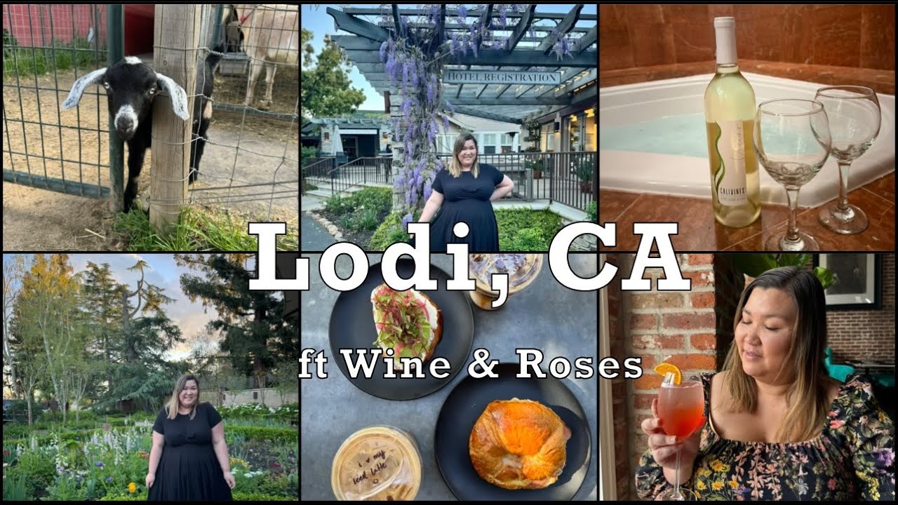 A Weekend in Lodi CA ft Wine and Roses Hotel, Restaurants, Spa plus BABY GOATS, wine tasting, food