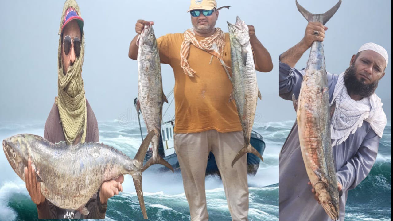Trolling fishing Trip | Using Fling Fish Lures For Big King mackerel 🐠🐋🐟