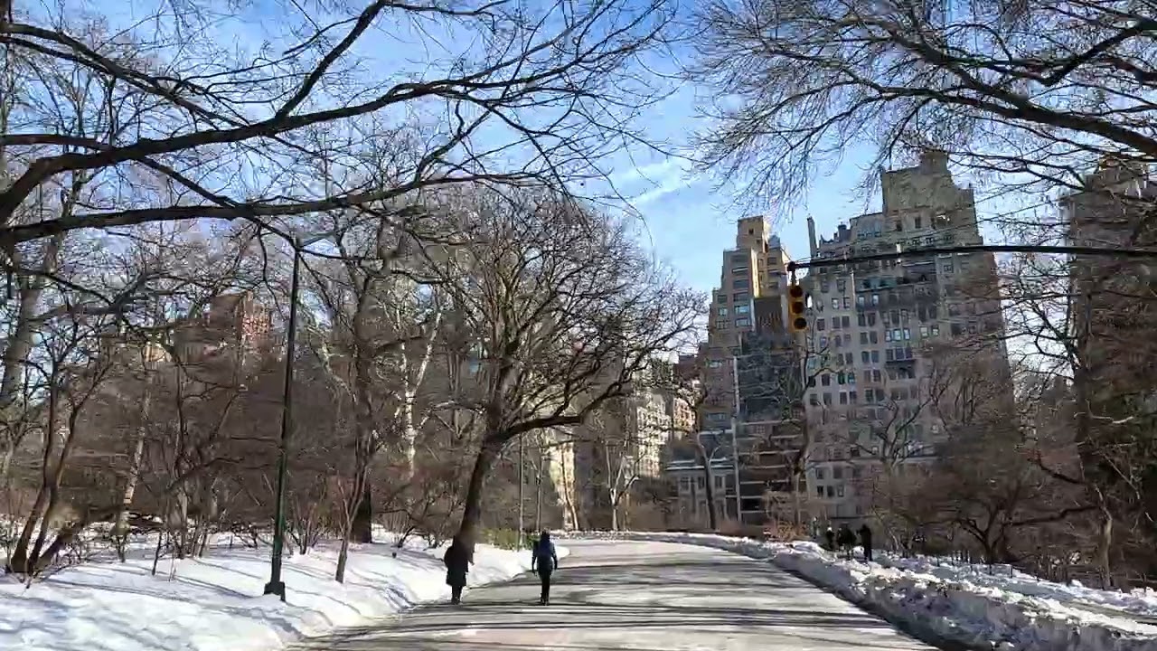 Central Park loop - February 1, 2026