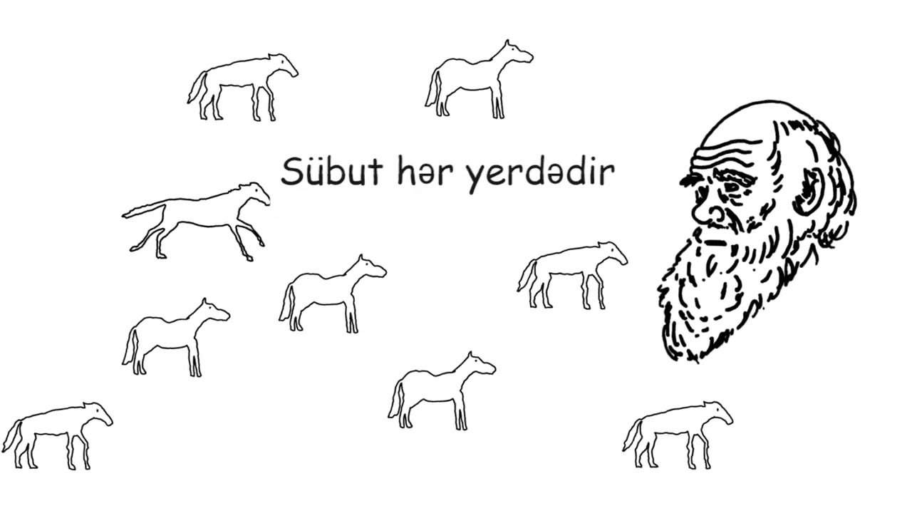 Bioloji m&uuml;xtəliflik və təbii se&ccedil;mə