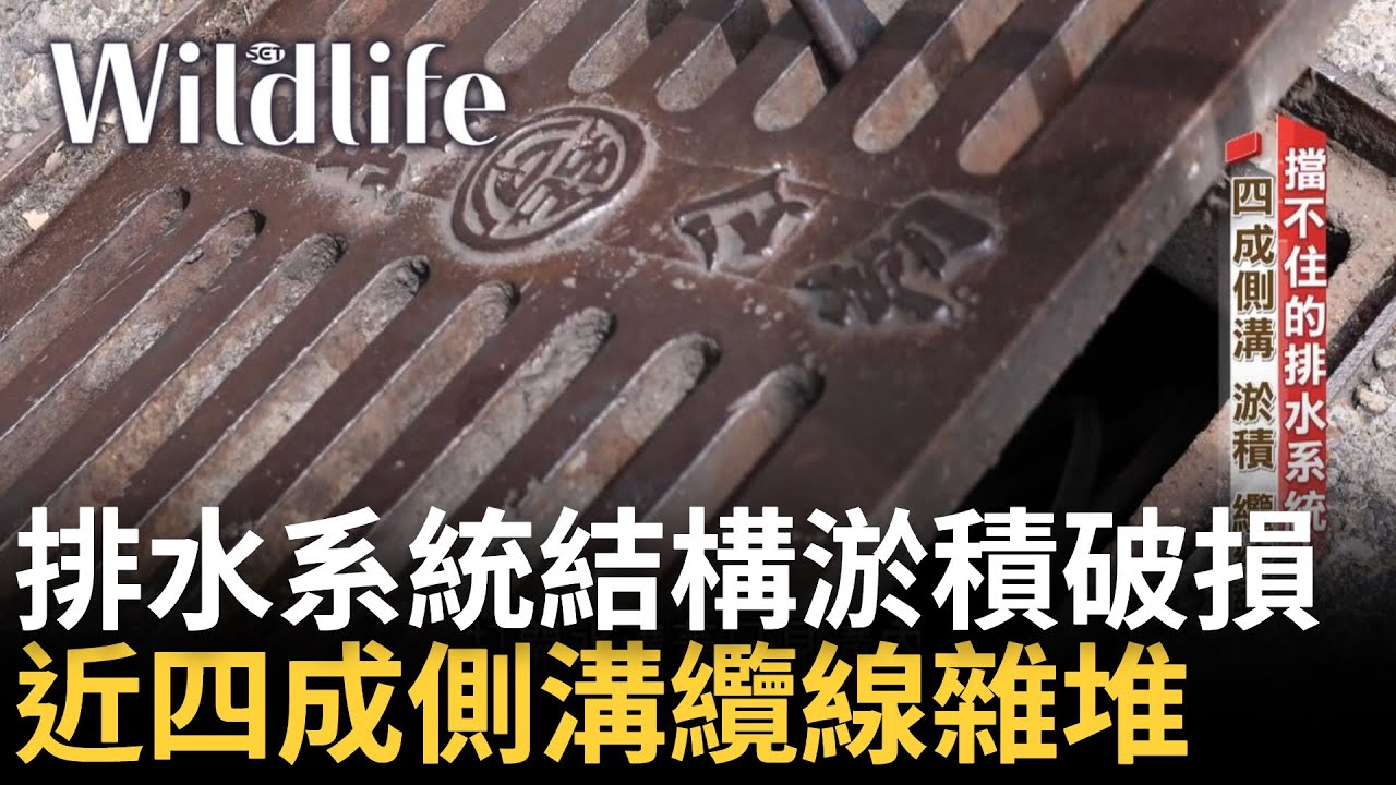 連排水系統都擋不住淹水... 直擊箱涵雨水下水道 5年重現期容受力不足 四成側溝淤積 