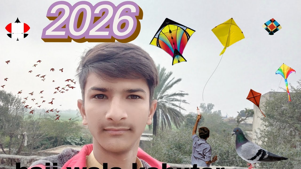 Naye sal ke pahle din baji wala kabutar pakad liya 2026 k patang bhi Uda di 🪁🪁🪁🪁🧶🧶