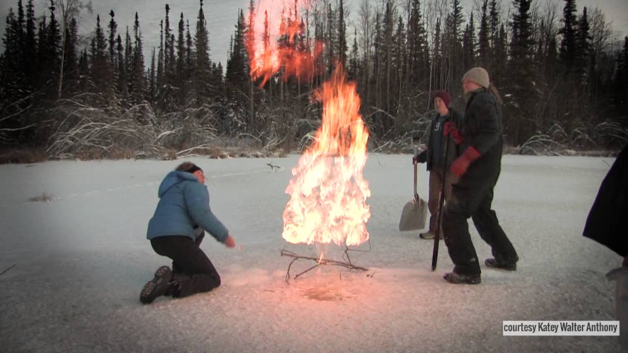 Alaska&rsquo;s Bubbling Lakes