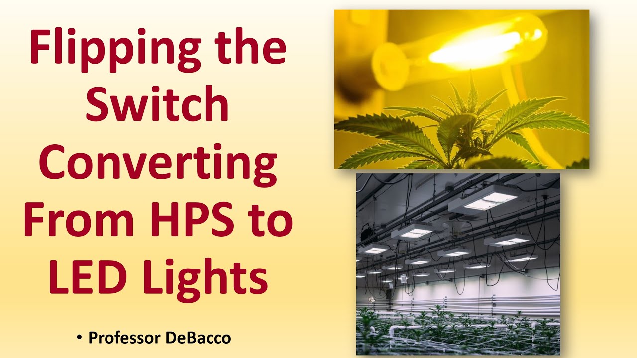 Flipping the Switch Converting From HPS to LED Lights