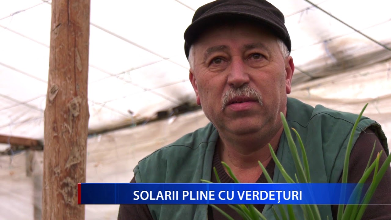 SOLARII PLINE CU VERDETURI