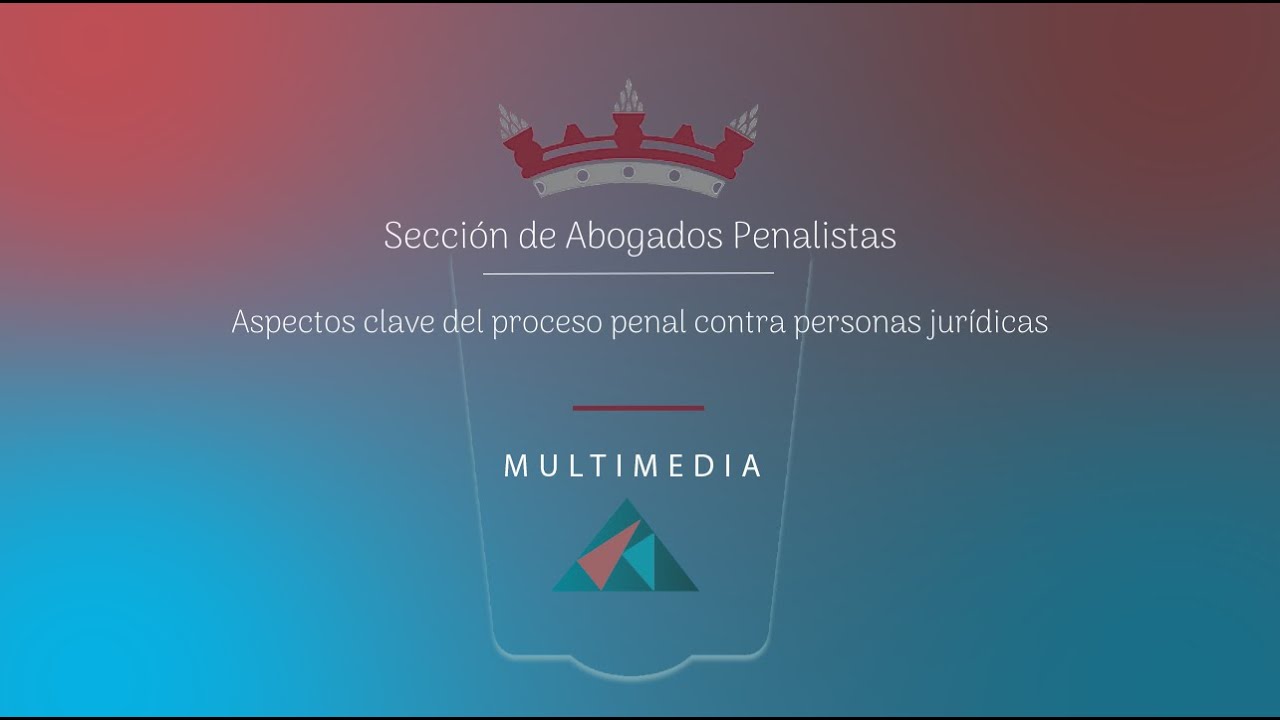 Sección de Abogados Penalistas: Aspectos clave del proceso penal contra personas jurídicas