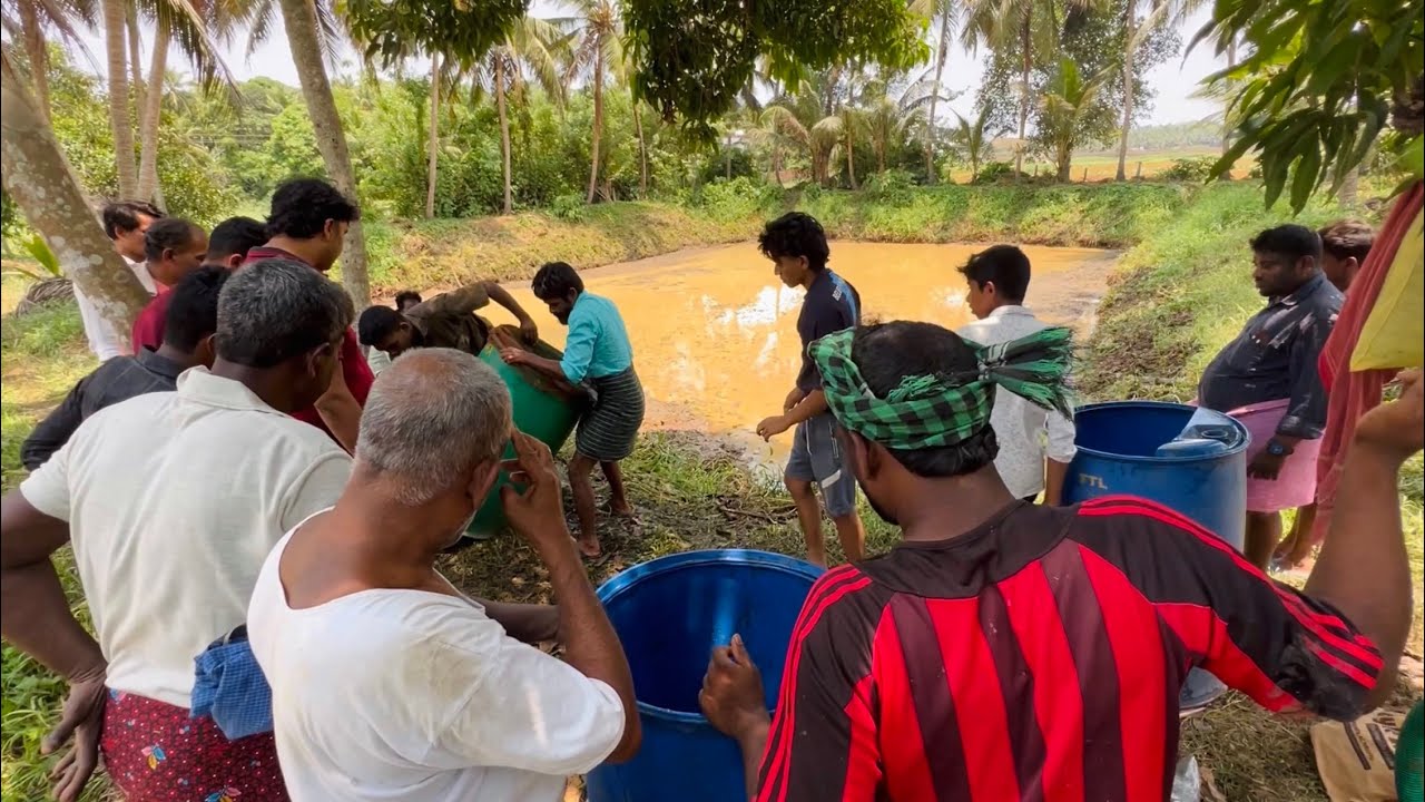 25000 രൂപ കൊടുത്ത് കായൽക്കരയിലെ മീൻ പിടുത്തം 😳 Fishing