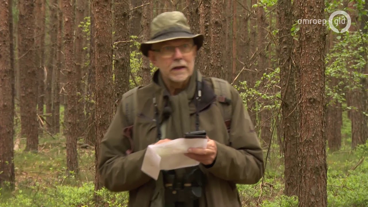 Gerard zoekt naar de onbekende paden op de Veluwe - Onze Veluwe