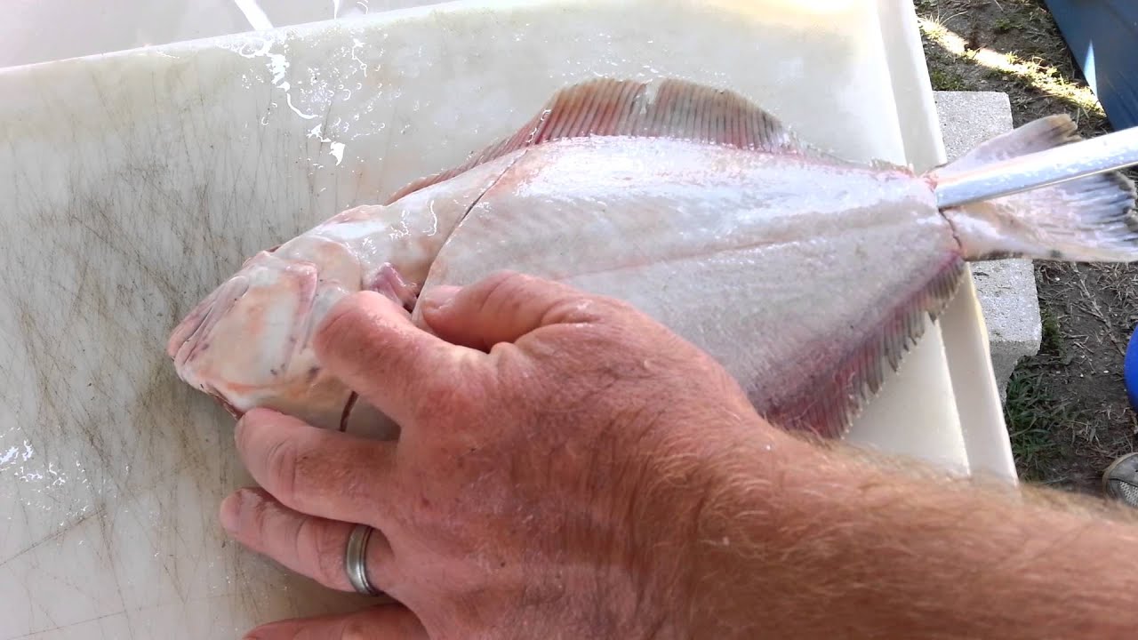 How to clean a flounder