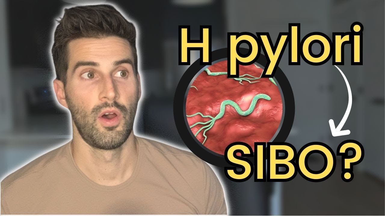 The H pylori and SIBO Connection (Including New Research)