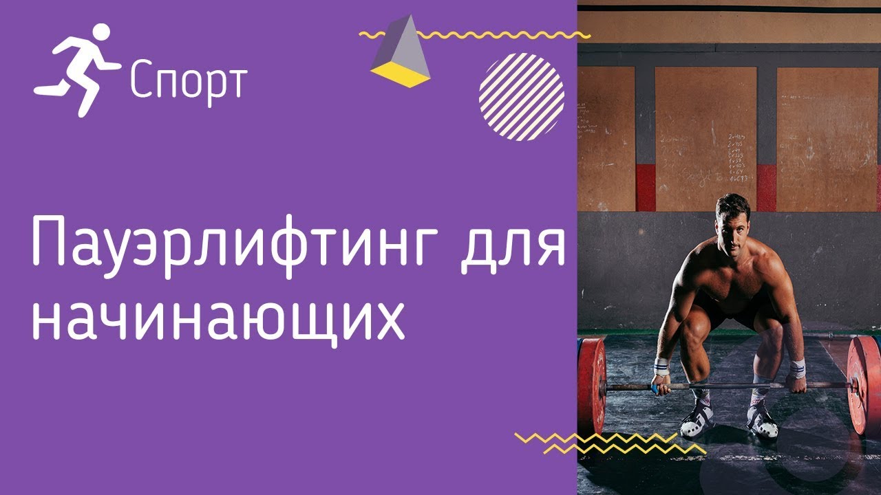 Пауэрлифтинг для начинающих. Как правильно составить расписание тренировок