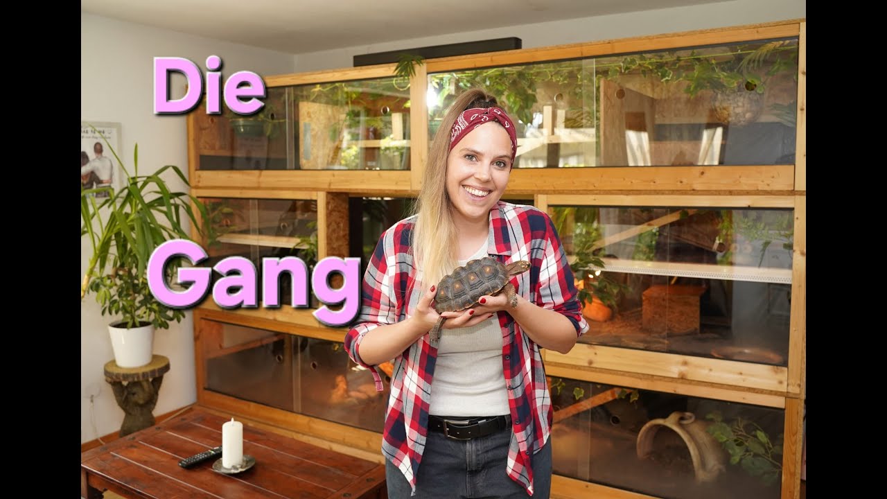 Die Gang