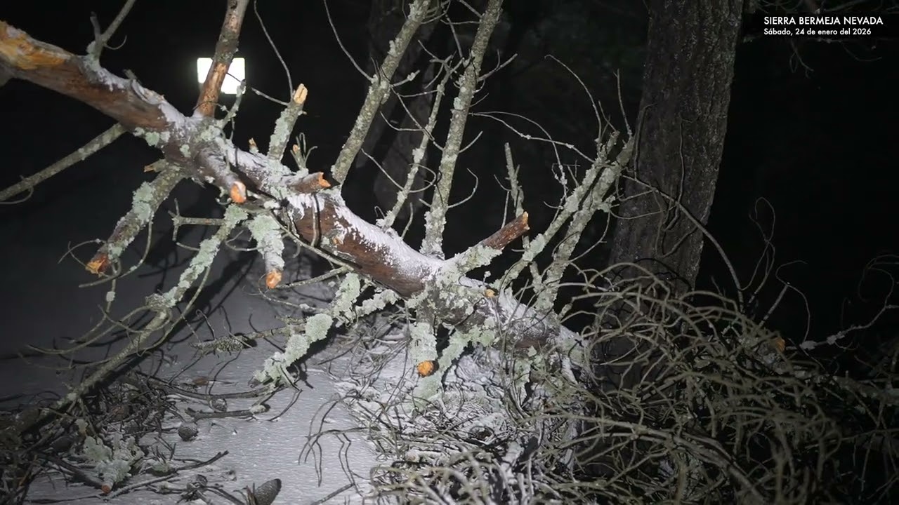 Sierra Bermeja Nevada con la full-frame (24 de enero del 2026)