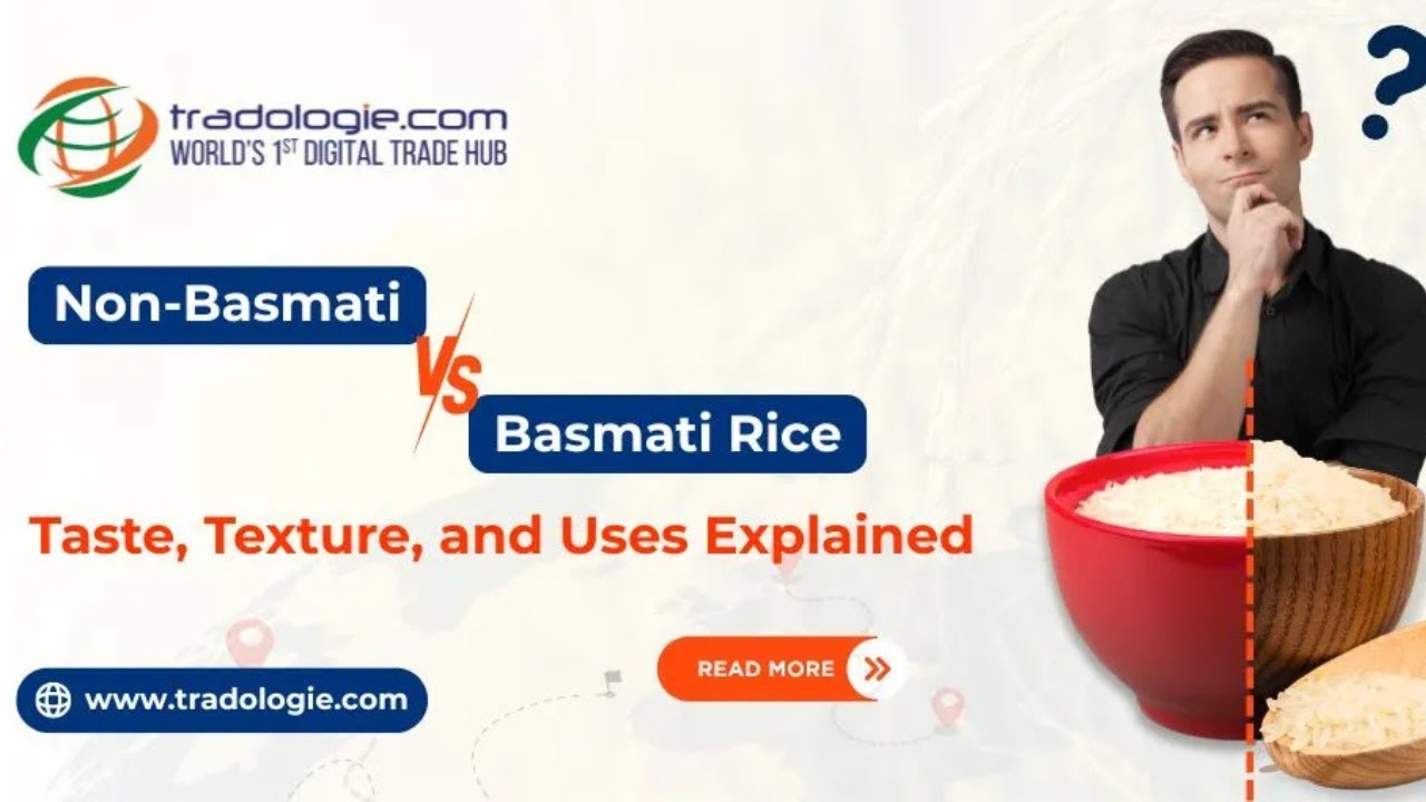 Basmati vs. Non-Basmati Rice: The Real Difference You Need to Know! | Rice exports