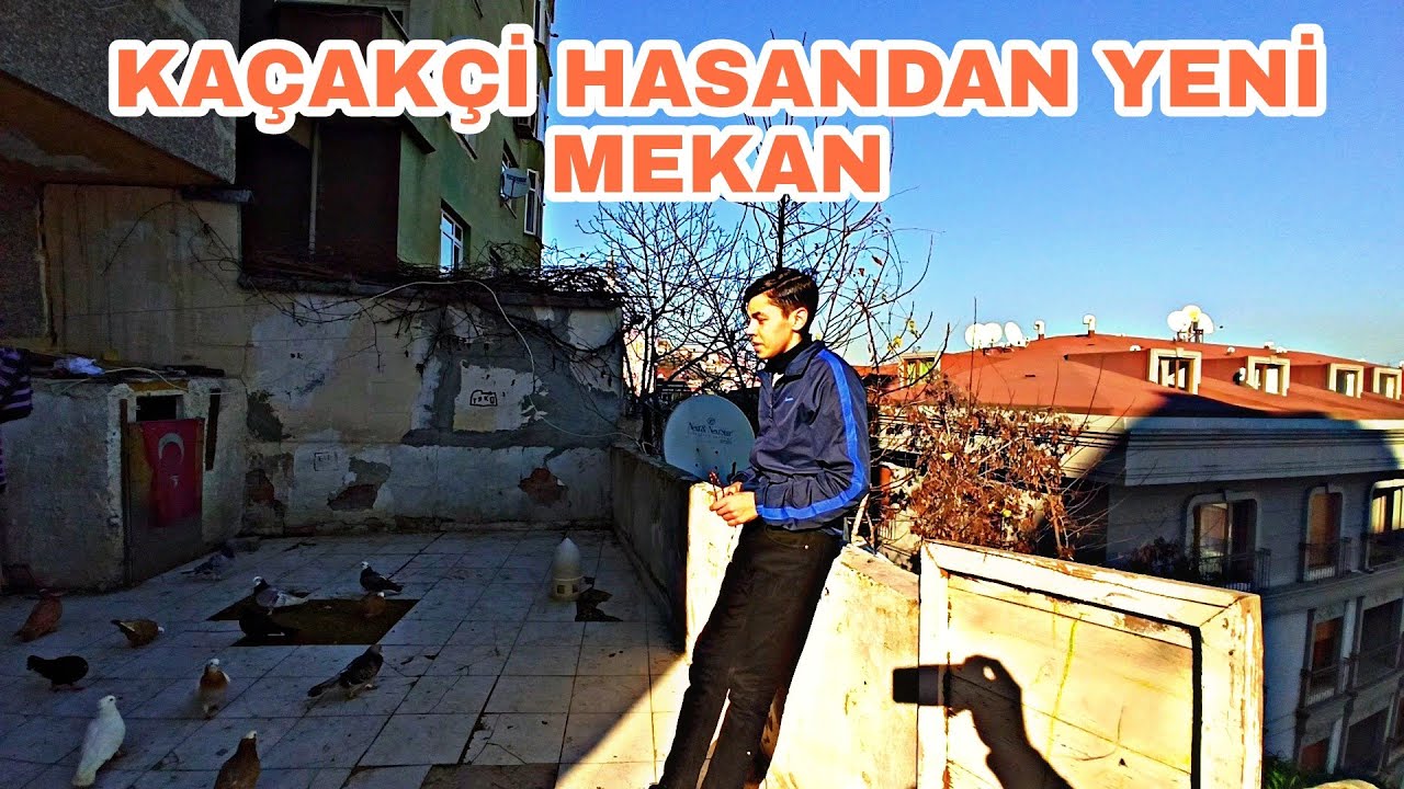 YERİNDEN KOVULAN KUŞÇU HASAN  YENİ KÜMES BULMUŞ BAHCEDE