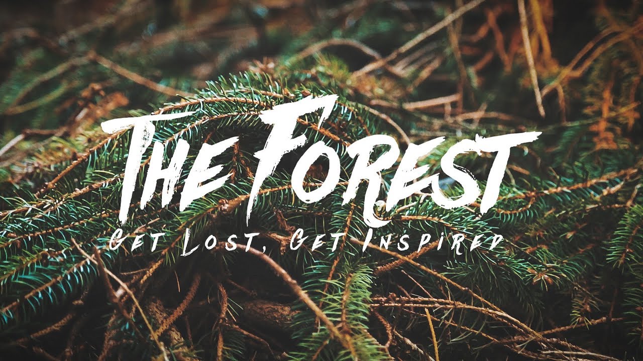 THE FOREST | Cinematic B-Roll with the 5D Mark III