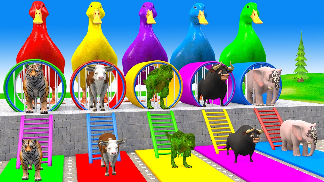 Long Slide Game With Cow Elephant Gorilla Hippopotamus Tiger 3d Animal Game Funny 3d Animals