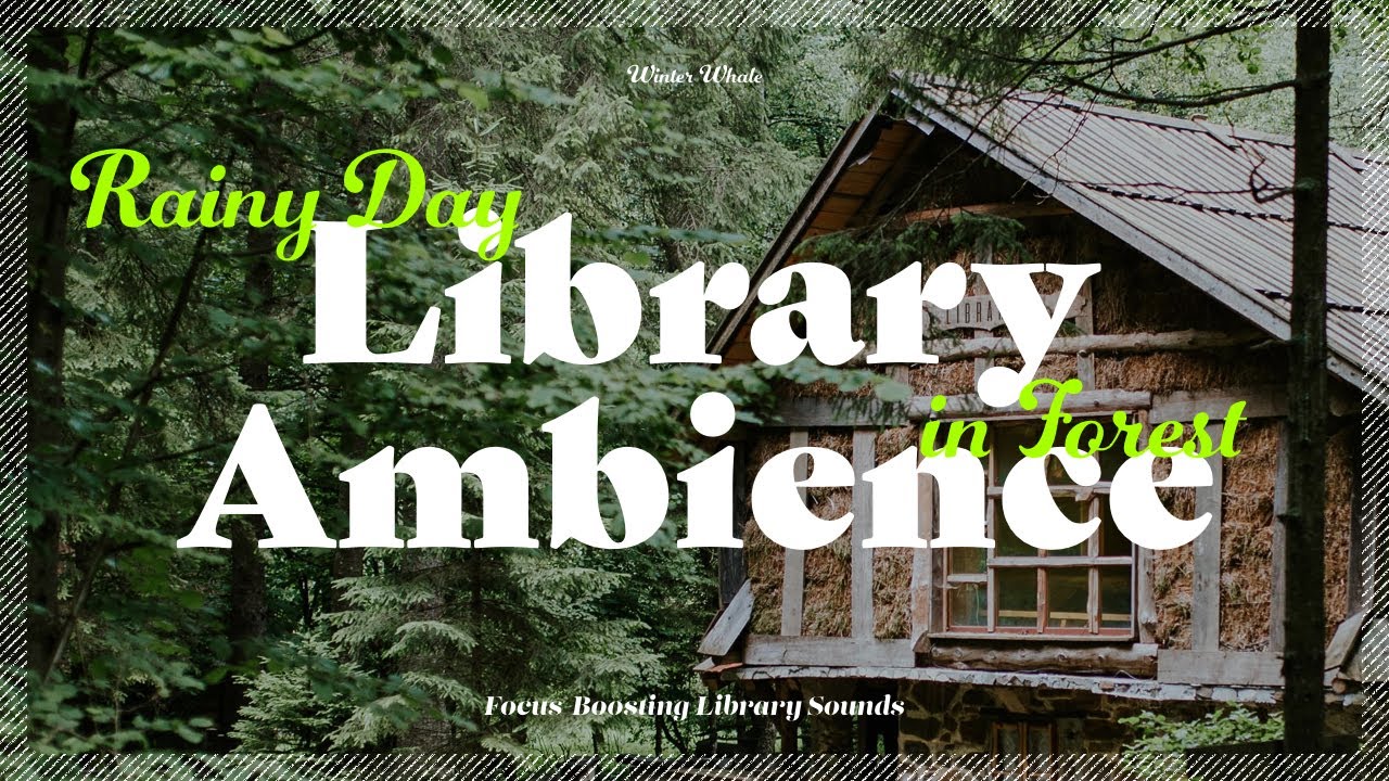 Library in Forest on a Rainy Day | Relaxing Library Sounds for Studying | 비 내리는 날 숲속 도서관