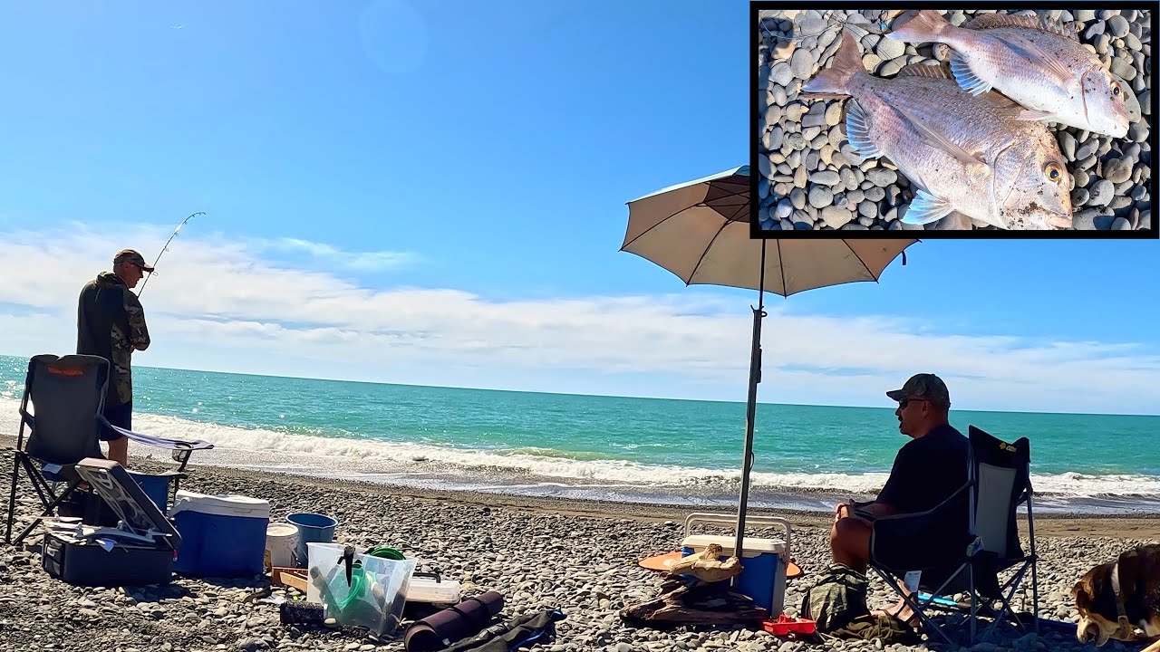 Fun Day Catching Snapper at 300m with Condor A22 Drone  - Catch & Cook Fish Roe