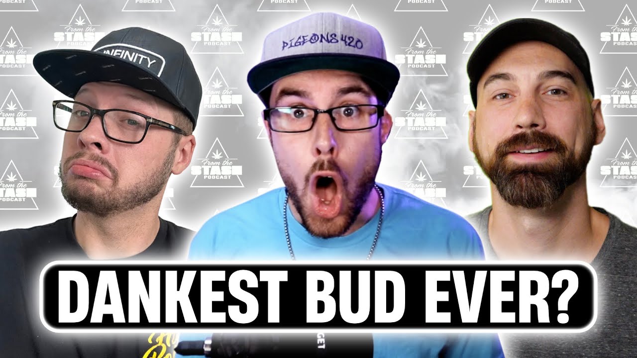 Our Best Harvest Stories! - From The Stash Podcast Ep. 140