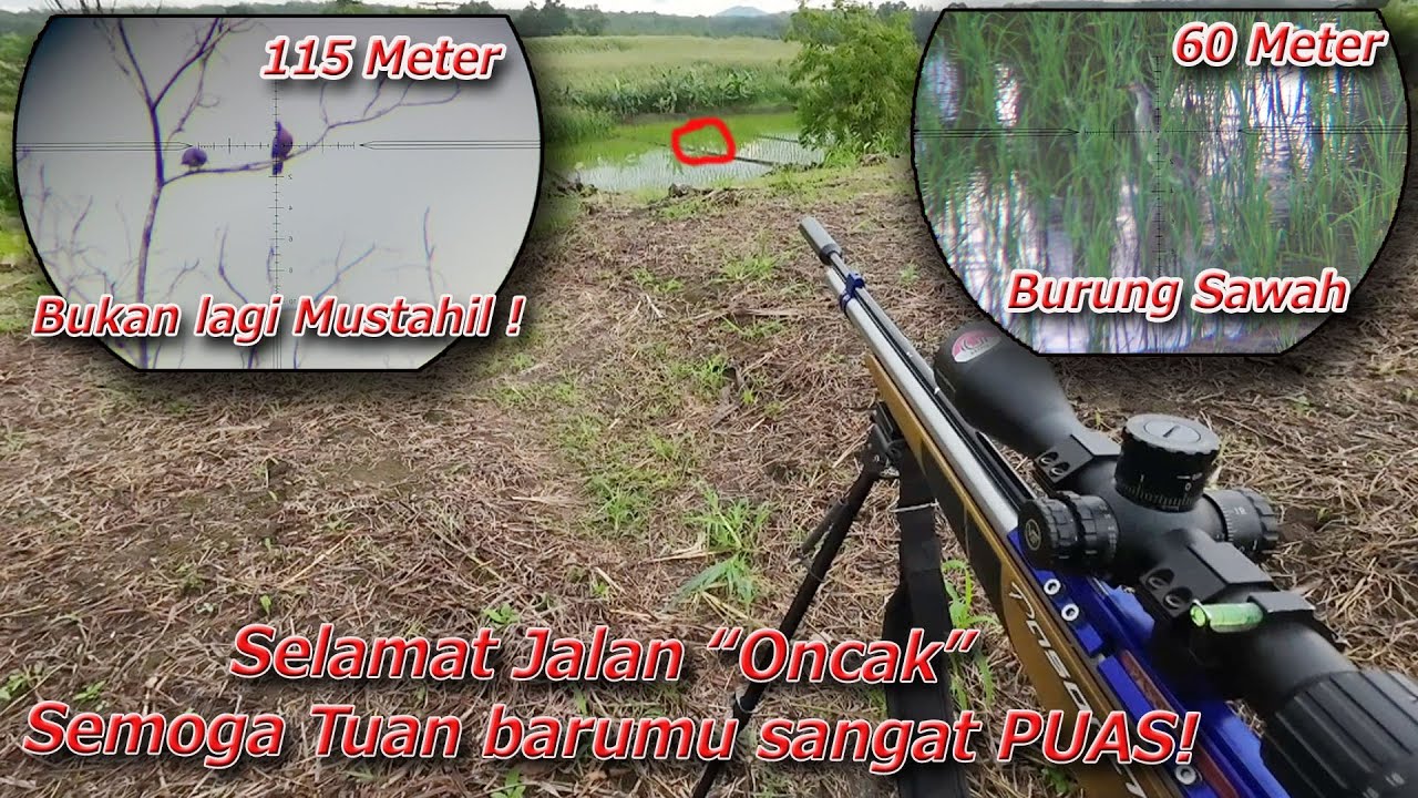 Hunting Terakhir Bersama Si 