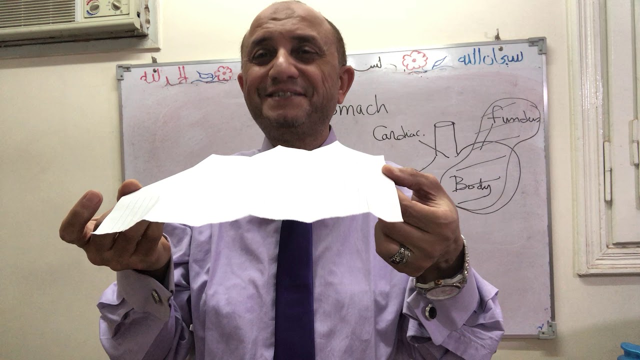 Stomach-histology -part1