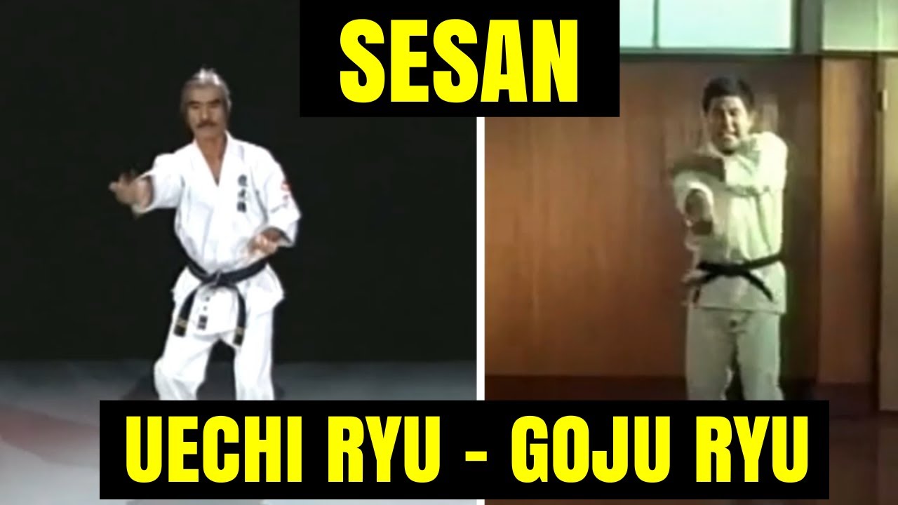Seisan comparado - Uechi Ryu (S.Gushi) & Goju Ryu (M.Higaonna)
