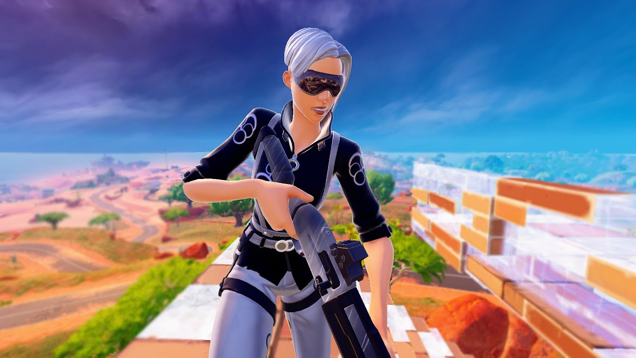 ECHO SKIN | Gameplay | Before You Buy (Fortnite Battle Royale)