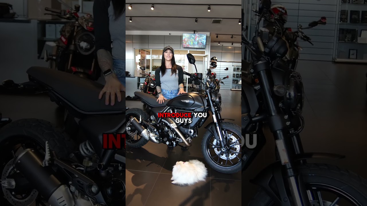 WOULD YOU GET THE SCRAMBLER ICON DARK?! Let us know!! #Ducati #DucatiScrambler #NextGenScrambler