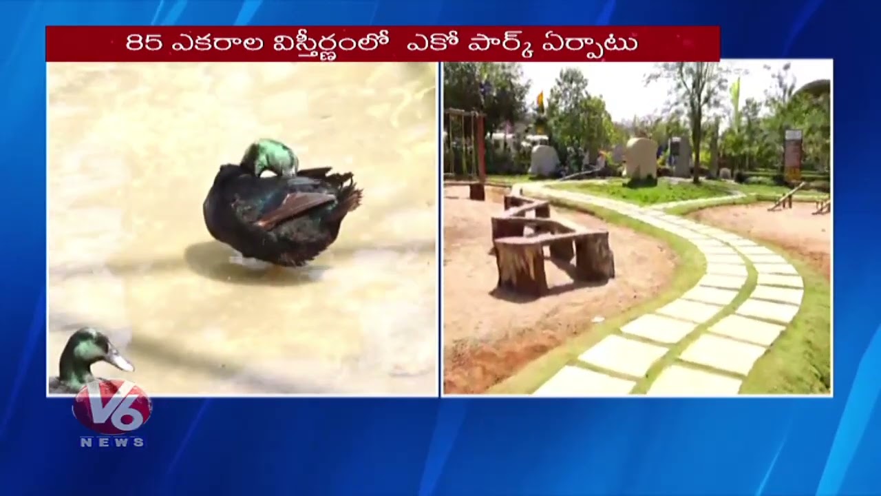 CM Revanth Reddy To Inaugurate Kothwalguda Eco Park Today | V6 News