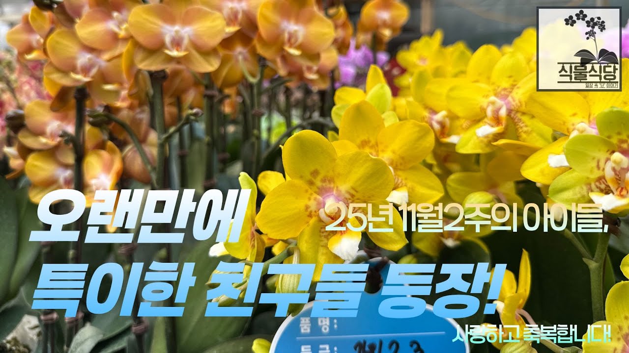 11월2주의 아이들, 오랜만에 특이한 친구들 등장!
