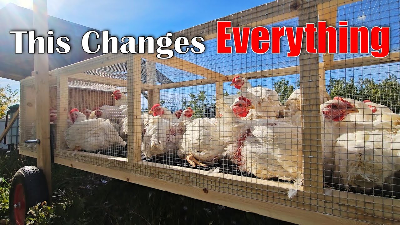 This Farm Hack Shows What Happens When You Pursue 1% Gains