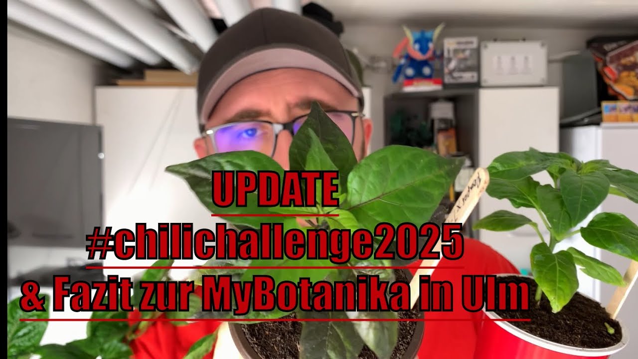 #chilichallenge2025 UPDATE! Mein Fazit zur Mybotanika vom 29.03.25 in Ulm!