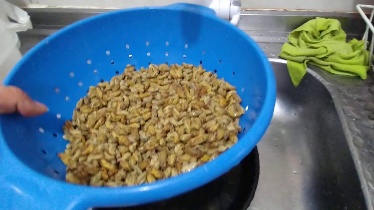 COMO LIMPAR SURURU DE MODO PRÁTICO!!