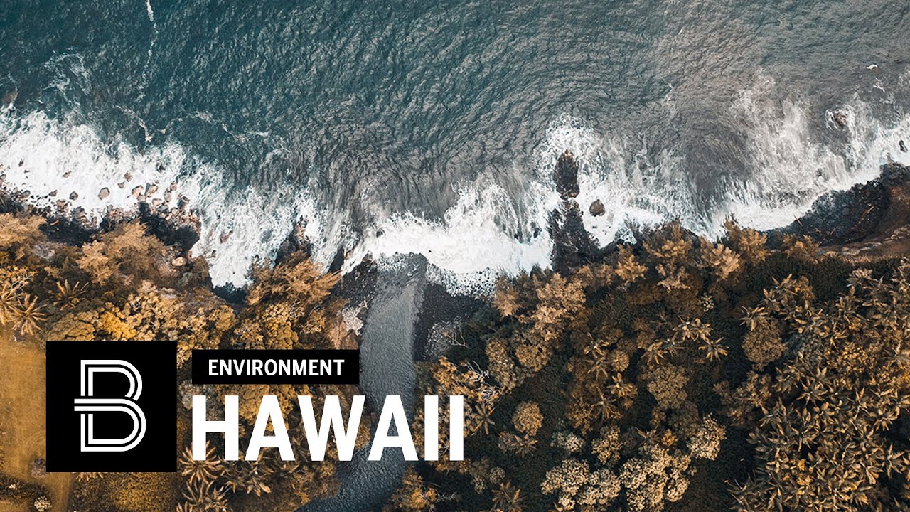 OCEAN CONSERVATION: Hilo, Hawaii