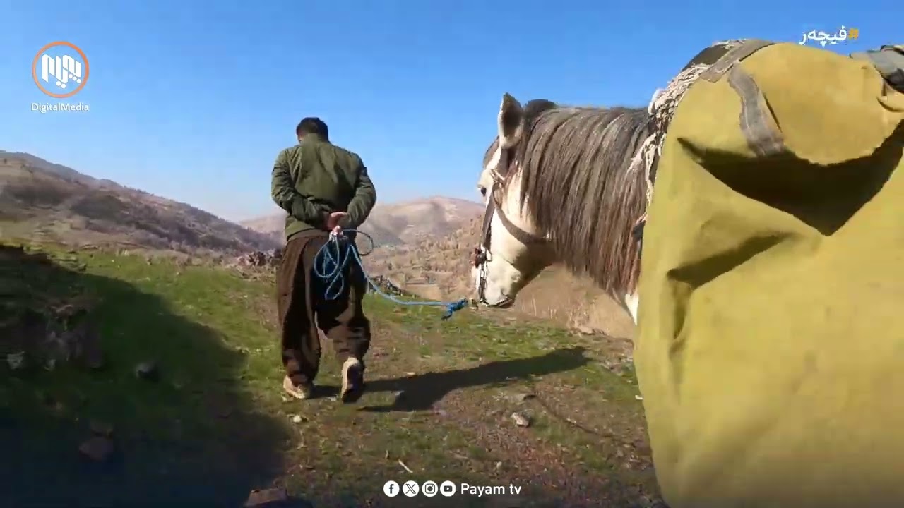 قارچک کردن - لەگەڵ کەناڵێکی تەلەفیزیۆنی