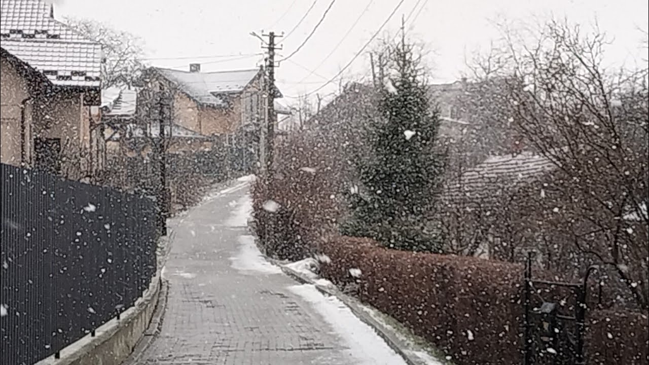 Трускавець замітає снігом. Лютий лютує, зима не відступає!
