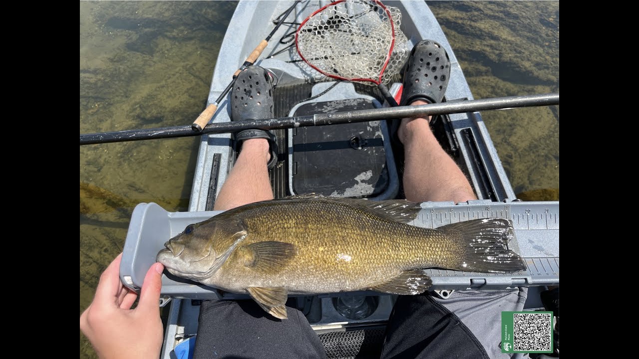 Massive smallie saved my day fishing the Shenandoah River!