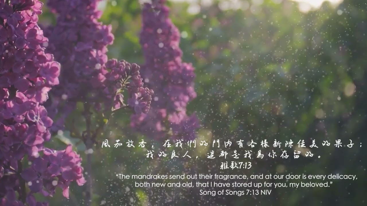 等候神音樂 Wait Upon God Soaking Music 2026 Episode 1
