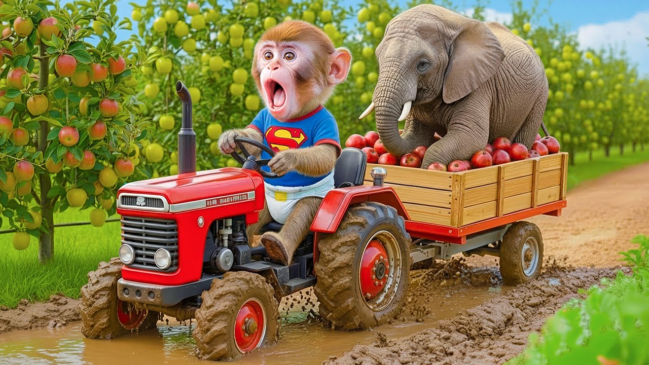 🐒🚜 Обезьянка iZi за рулём трактора спасает слона, застрявшего в грязевой яме &ndash; захватывающий момент!