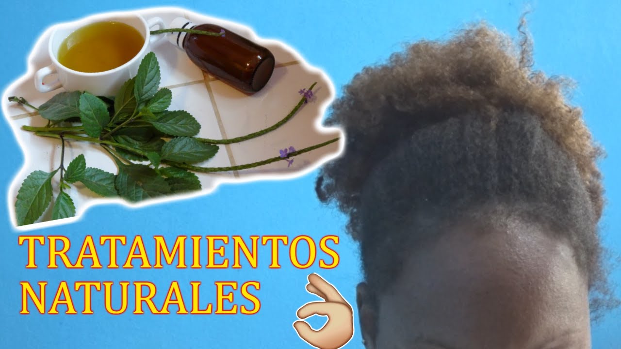 AGUA DE VERBENA PARA EL CABELLO , como usarla, beneficios y propiedades// @AfroFeliz
