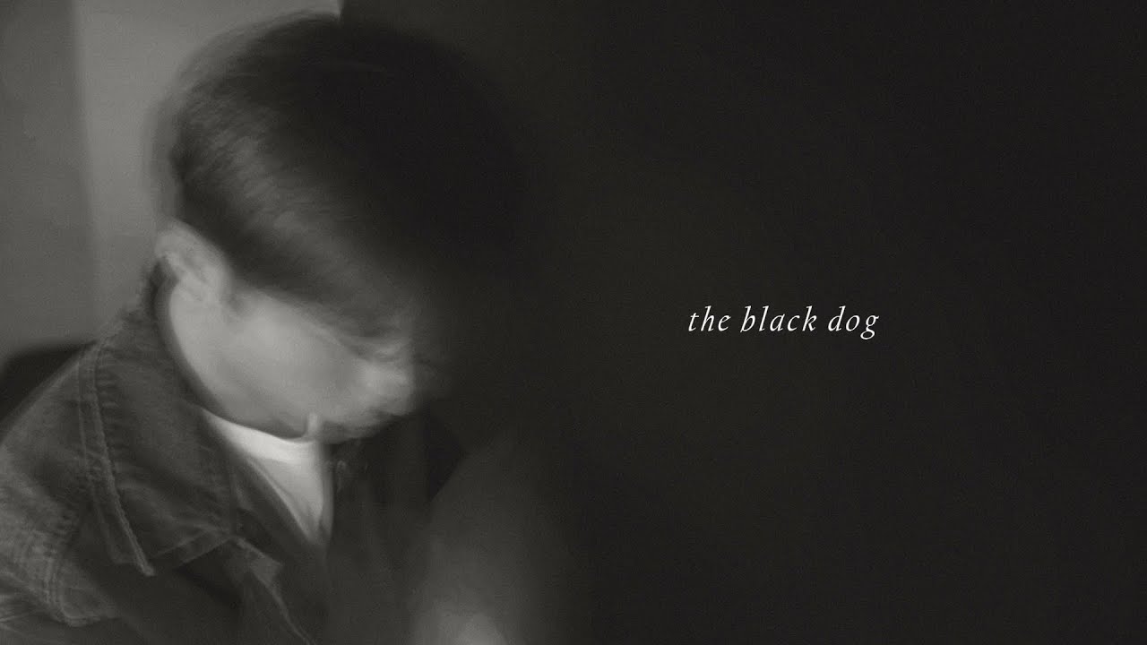 the black dog &ndash; taylor swift | cover by clarence arvin