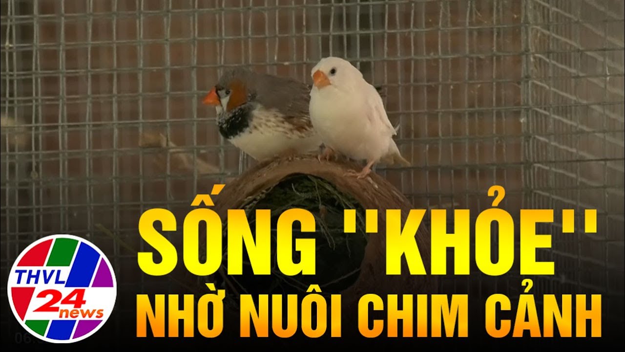 Sống &ldquo;khỏe&rdquo; nhờ nu&ocirc;i chim cảnh