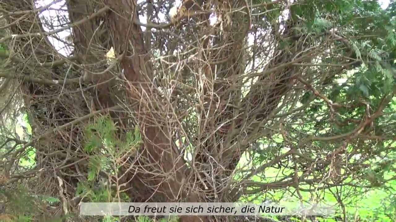 Strawanzen mi'm Annamirl