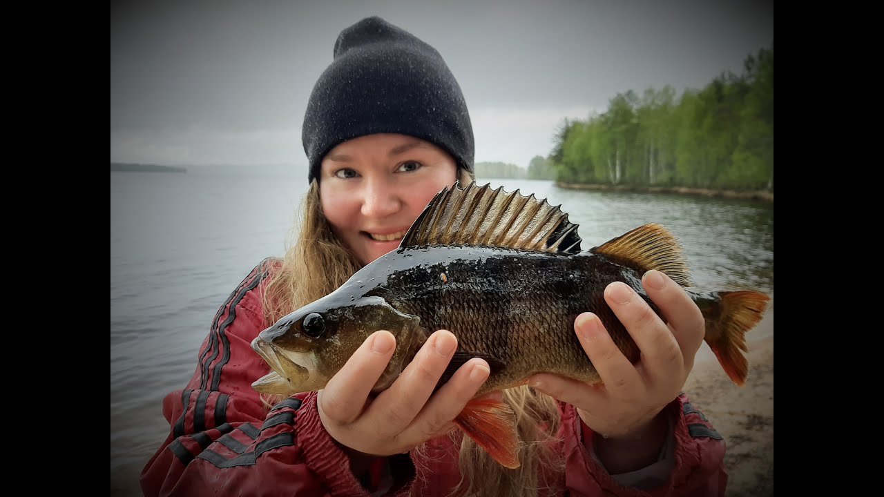 ISO AHVEN KATISKASTA - HUPAISA KALASTUSREISSU KORVUANJOELLA: NÄLKÄISET HAUET VIIHDYTTIVÄT KALASTAJIA