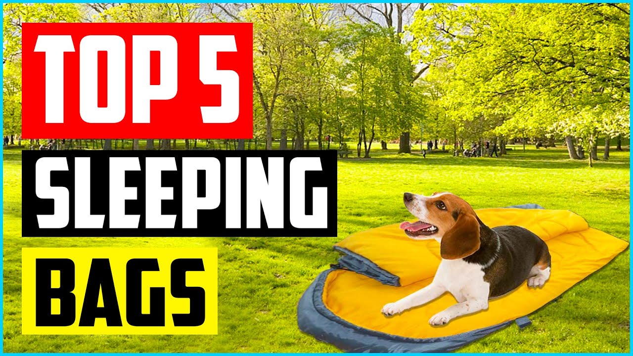 Top 5 Best Sleeping Bags for Dogs of 2021 Review