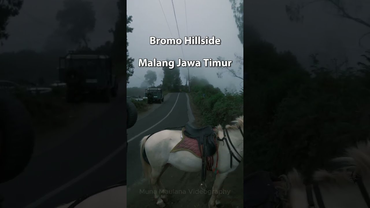 Bromo Hillside