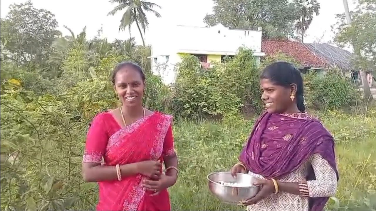 அமலா அண்ணி வீட்டில் Vlog /Gramathu Marumagal Priya 