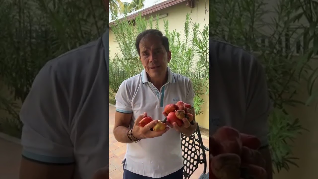 Mara&ntilde;&oacute;n y sus propiedades curativas.